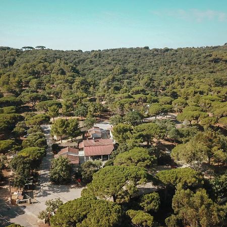 Camping Ladouceur Ramatuelle Bagian luar foto