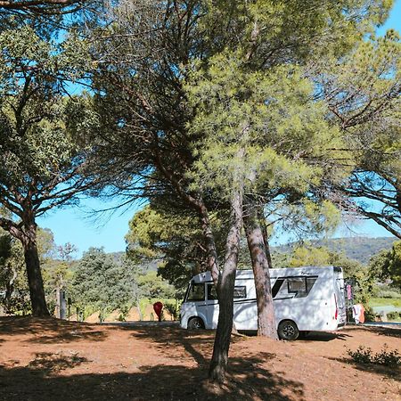 Camping Ladouceur Ramatuelle Bagian luar foto