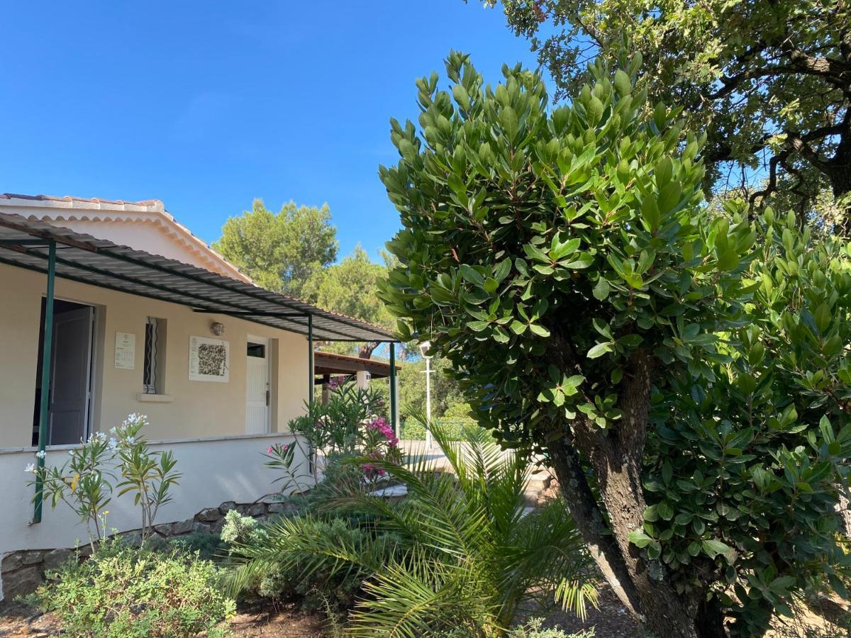 Camping Ladouceur Ramatuelle Bagian luar foto