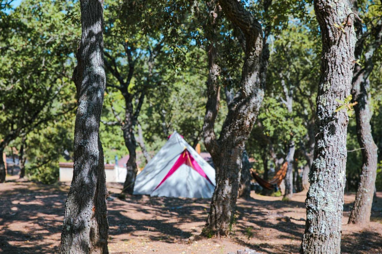 Camping Ladouceur Ramatuelle Bagian luar foto