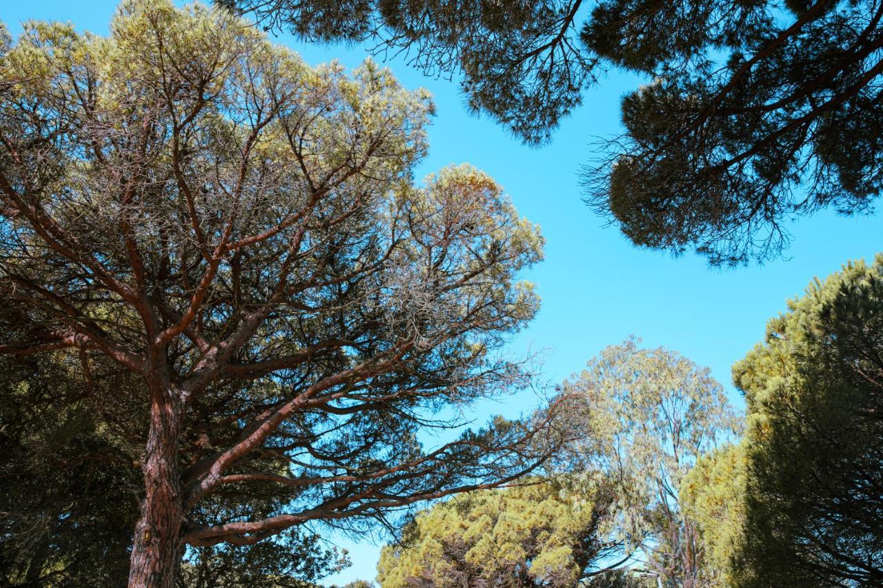 Camping Ladouceur Ramatuelle Bagian luar foto