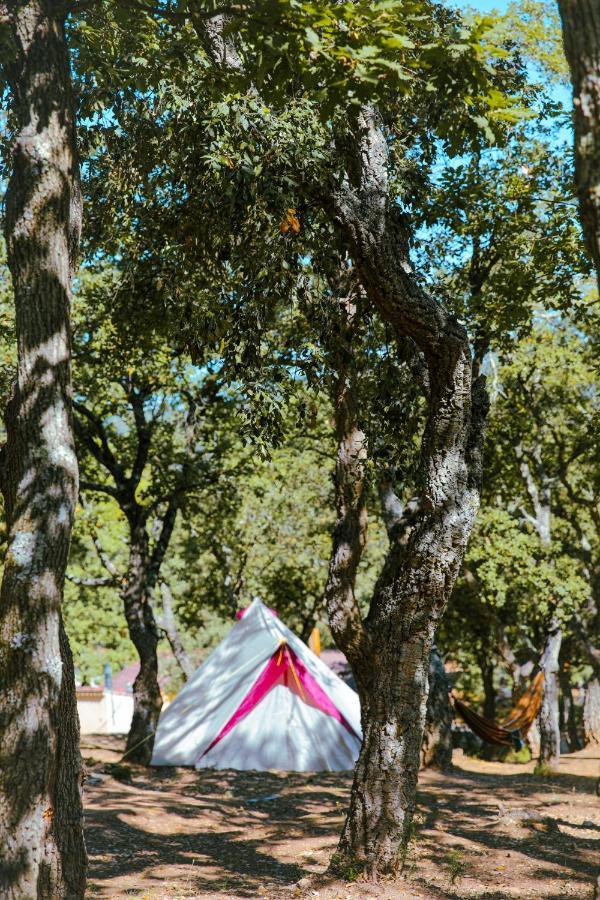 Camping Ladouceur Ramatuelle Bagian luar foto