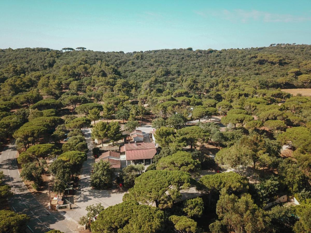 Camping Ladouceur Ramatuelle Bagian luar foto