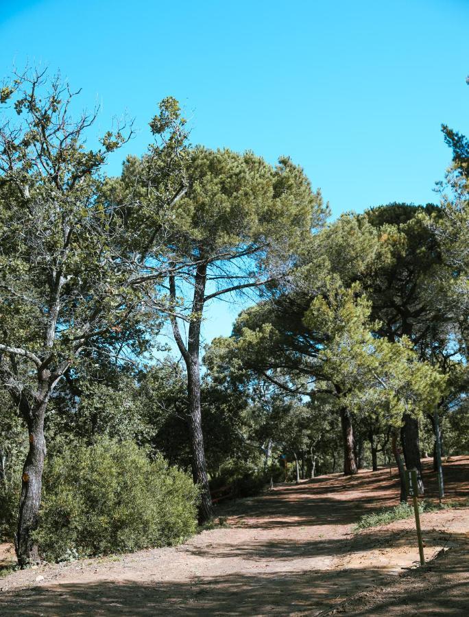 Camping Ladouceur Ramatuelle Bagian luar foto