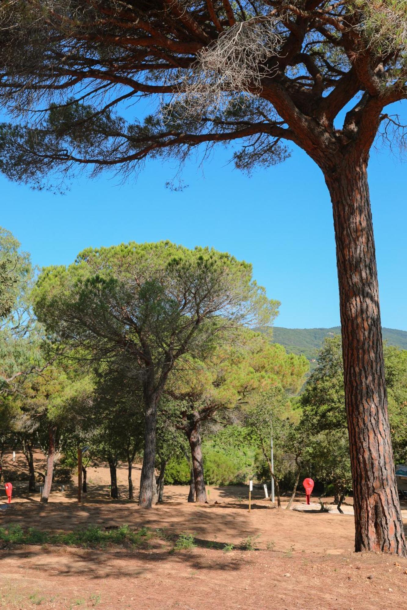 Camping Ladouceur Ramatuelle Bagian luar foto