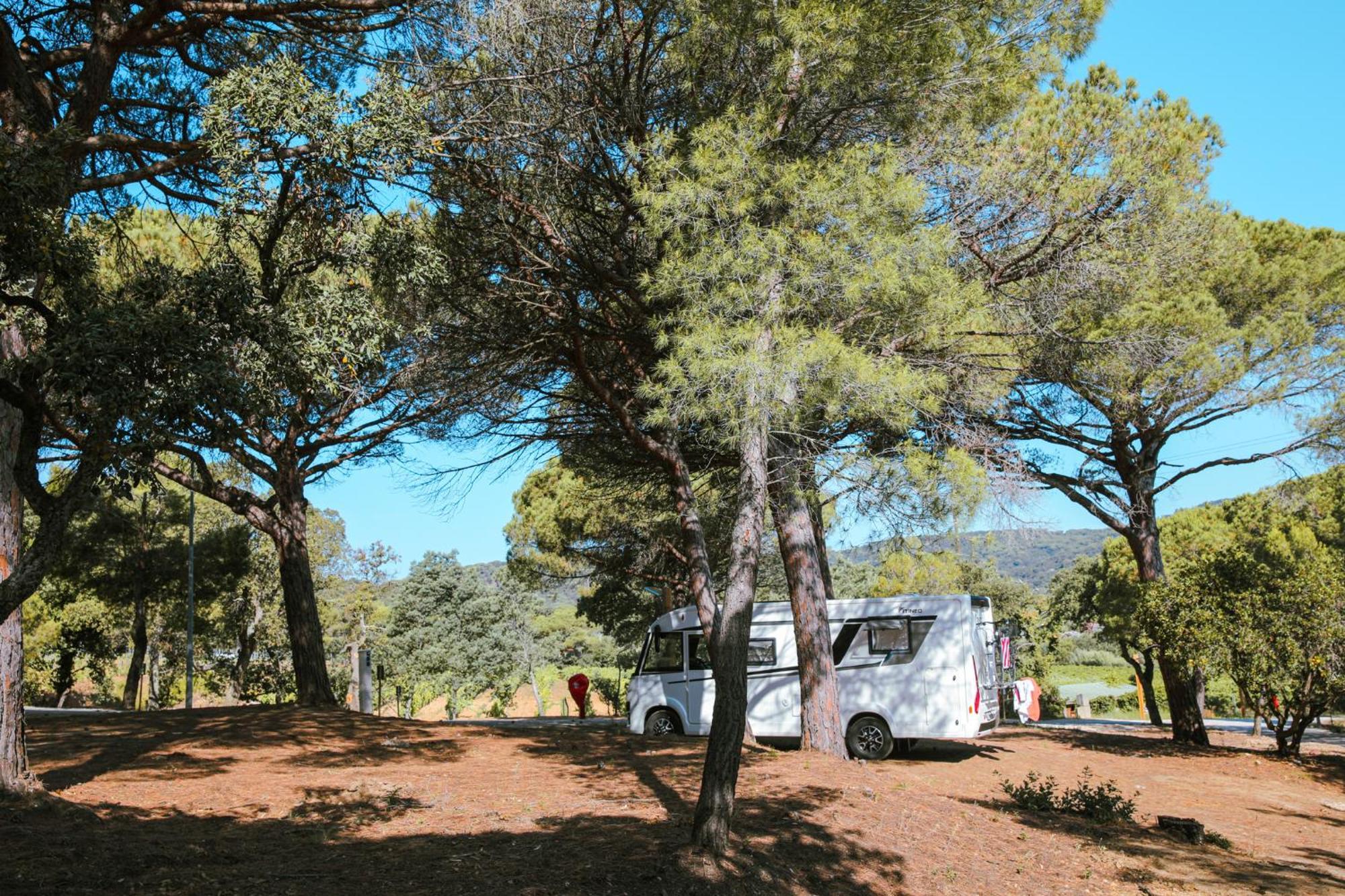Camping Ladouceur Ramatuelle Bagian luar foto
