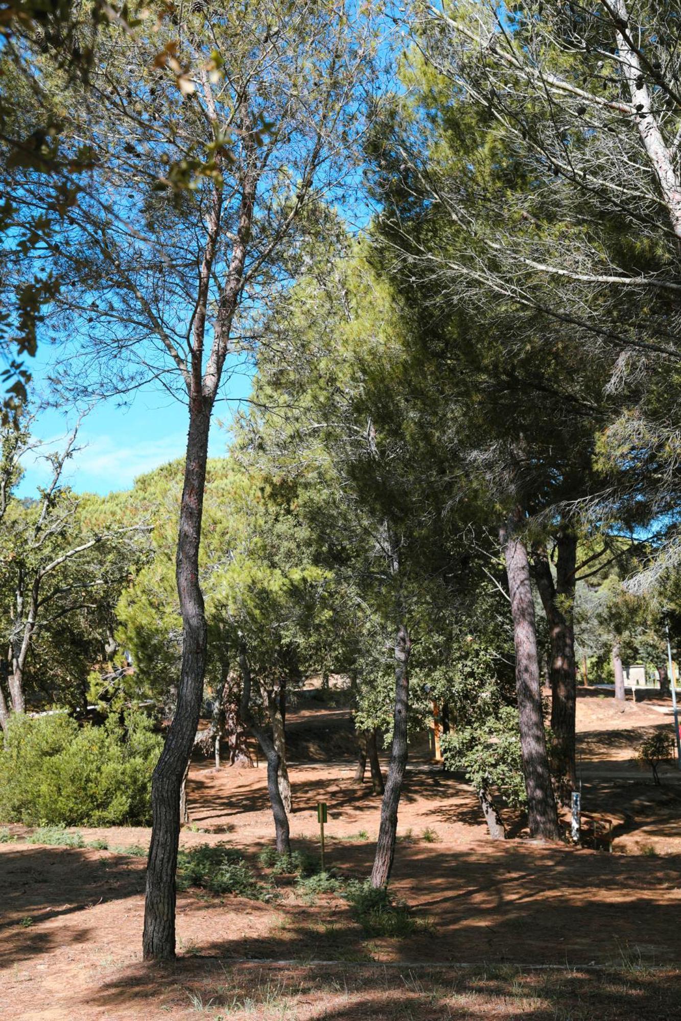 Camping Ladouceur Ramatuelle Bagian luar foto