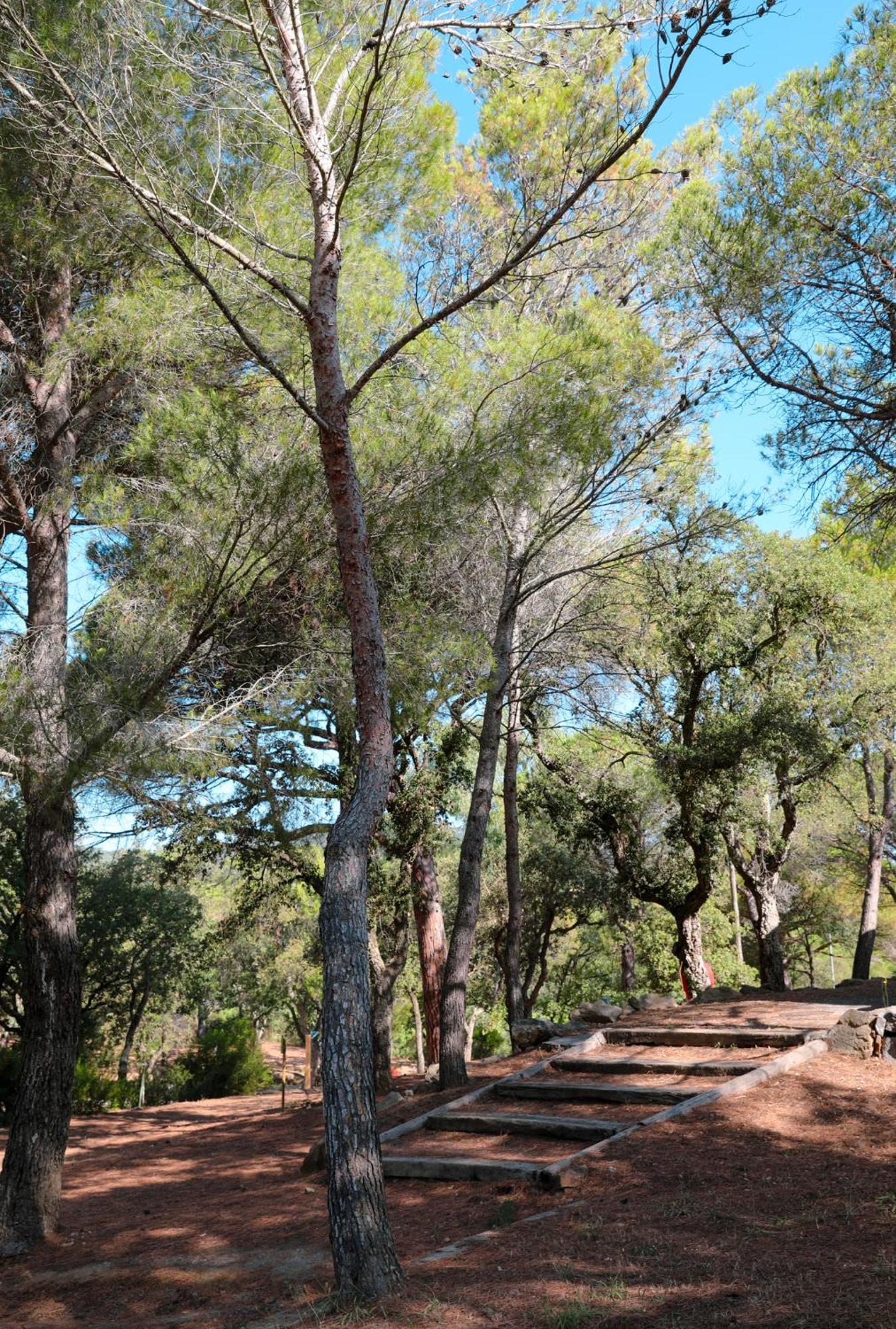 Camping Ladouceur Ramatuelle Bagian luar foto